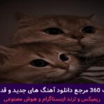 دانلود آهنگ ترجیح دادی بهم کیو ریختی فقط رو آتیش هی بنزینو + پخش انلاین ترانه شنیدنی